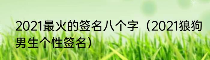2021最火的签名八个字（2021狼狗男生个性签名）