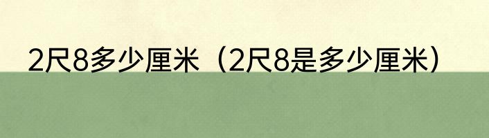 2尺8多少厘米（2尺8是多少厘米）