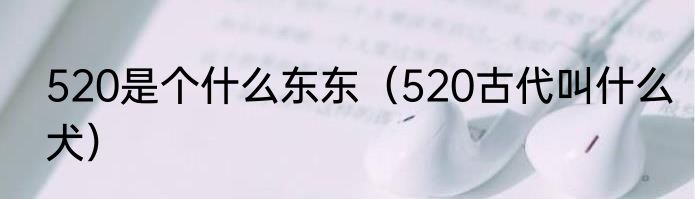 520是个什么东东（520古代叫什么犬）