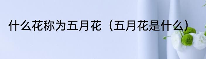 什么花称为五月花（五月花是什么）