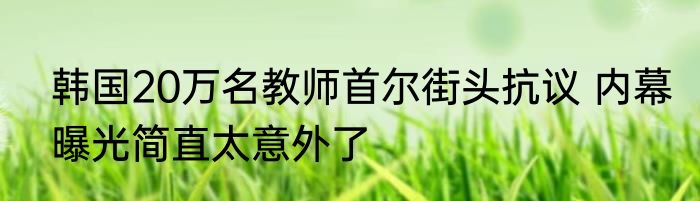 韩国20万名教师首尔街头抗议 内幕曝光简直太意外了