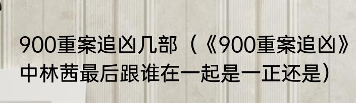900重案追凶几部（《900重案追凶》中林茜最后跟谁在一起是一正还是）