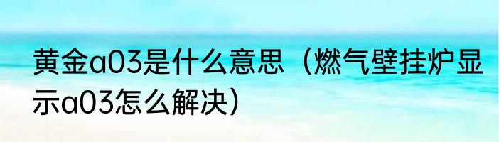 黄金a03是什么意思（燃气壁挂炉显示a03怎么解决）