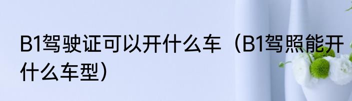 B1驾驶证可以开什么车（B1驾照能开什么车型）