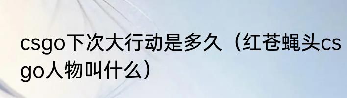 csgo下次大行动是多久（红苍蝇头csgo人物叫什么）