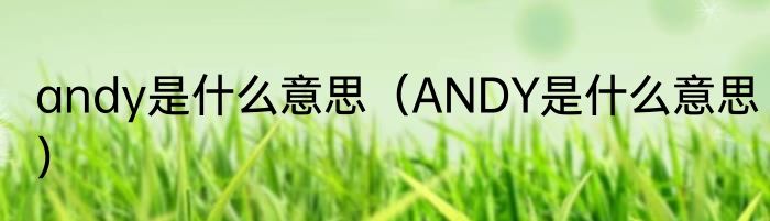 andy是什么意思（ANDY是什么意思）