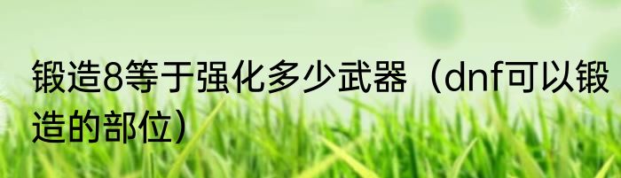 锻造8等于强化多少武器（dnf可以锻造的部位）