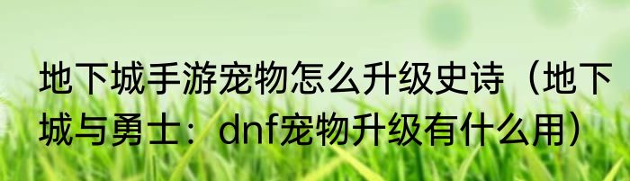 地下城手游宠物怎么升级史诗（地下城与勇士：dnf宠物升级有什么用）