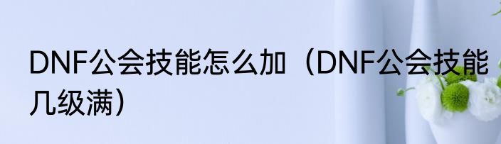 DNF公会技能怎么加（DNF公会技能几级满）