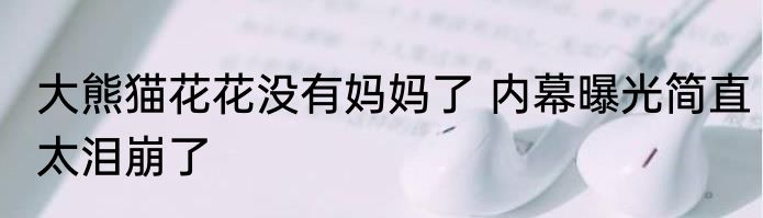 大熊猫花花没有妈妈了 内幕曝光简直太泪崩了