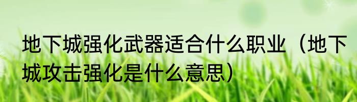 地下城强化武器适合什么职业（地下城攻击强化是什么意思）