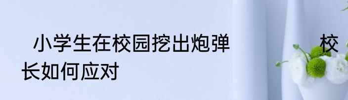   小学生在校园挖出炮弹               校长如何应对