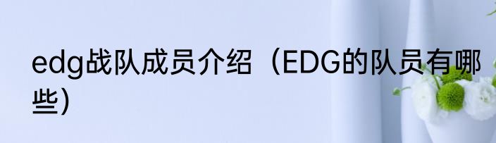 edg战队成员介绍（EDG的队员有哪些）
