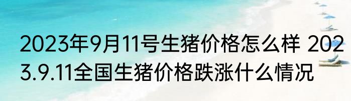 2023年9月11号生猪价格怎么样 2023.9.11全国生猪价格跌涨什么情况