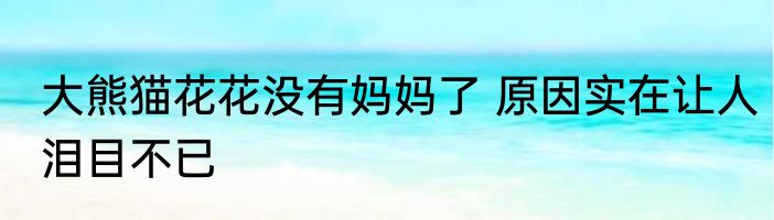 大熊猫花花没有妈妈了 原因实在让人泪目不已
