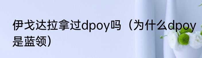 伊戈达拉拿过dpoy吗（为什么dpoy是蓝领）