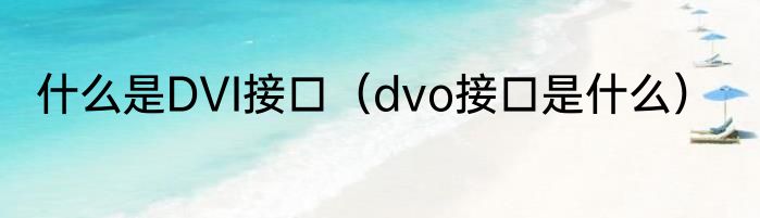 什么是DVI接口（dvo接口是什么）