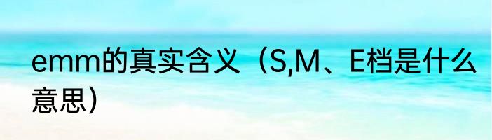 emm的真实含义（S,M、E档是什么意思）