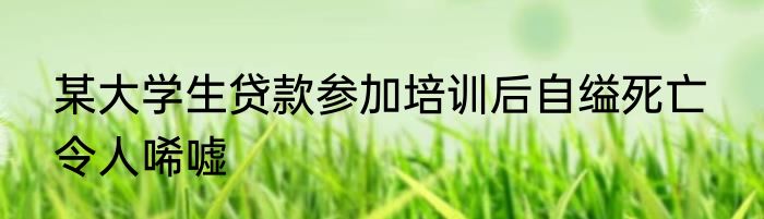 某大学生贷款参加培训后自缢死亡  令人唏嘘      