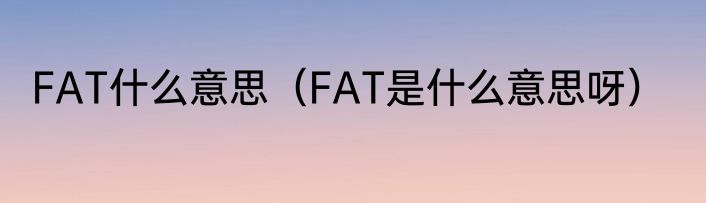 FAT什么意思（FAT是什么意思呀）