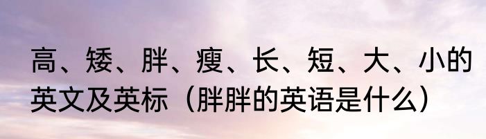 高、矮、胖、瘦、长、短、大、小的英文及英标（胖胖的英语是什么）