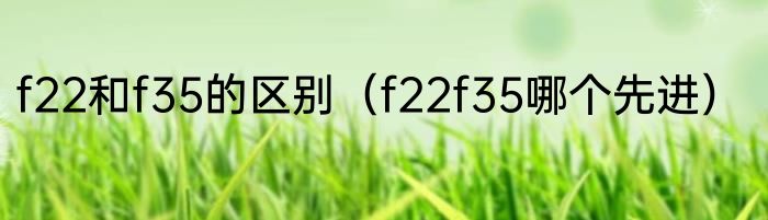 f22和f35的区别（f22f35哪个先进）