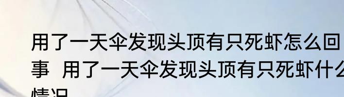 用了一天伞发现头顶有只死虾怎么回事  用了一天伞发现头顶有只死虾什么情况