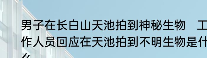 男子在长白山天池拍到神秘生物   工作人员回应在天池拍到不明生物是什么