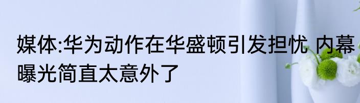 媒体:华为动作在华盛顿引发担忧 内幕曝光简直太意外了