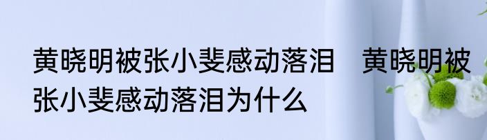 黄晓明被张小斐感动落泪   黄晓明被张小斐感动落泪为什么