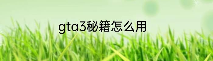 gta3秘籍怎么用