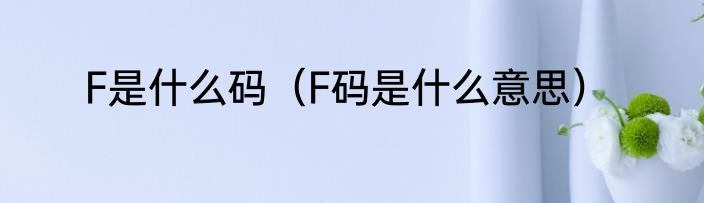 F是什么码（F码是什么意思）