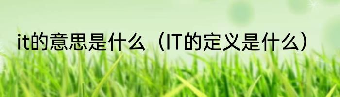it的意思是什么（IT的定义是什么）
