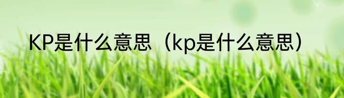 KP是什么意思（kp是什么意思）