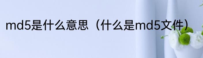 md5是什么意思（什么是md5文件）
