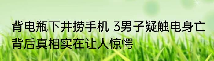 网络用语lfp是什么意思（lsp是什么证书）