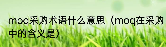 moq采购术语什么意思（moq在采购中的含义是）