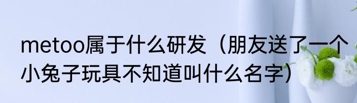 metoo属于什么研发（朋友送了一个小兔子玩具不知道叫什么名字）