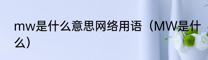 mw是什么意思网络用语（MW是什么）