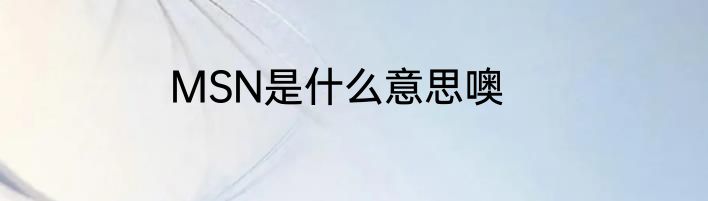 MSN是什么意思噢