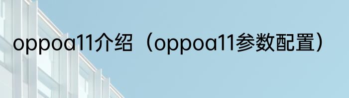 oppoa11介绍（oppoa11参数配置）