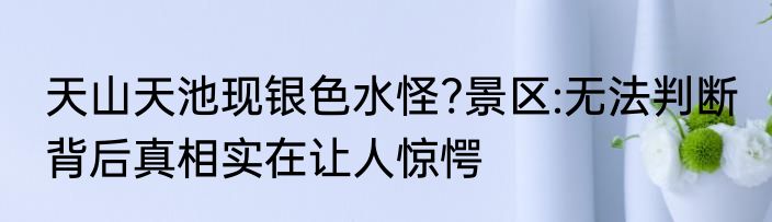 天山天池现银色水怪?景区:无法判断 背后真相实在让人惊愕