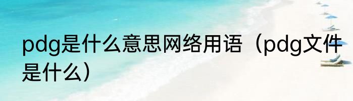 pdg是什么意思网络用语（pdg文件是什么）