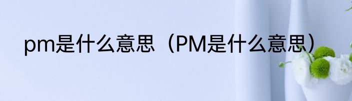 pm是什么意思（PM是什么意思）