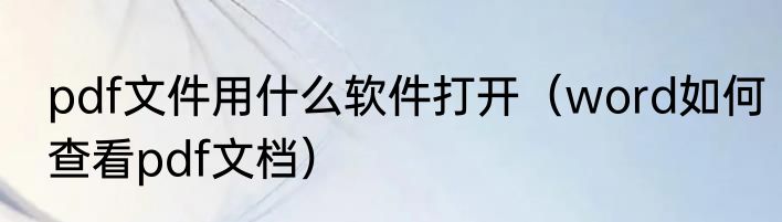 pdf文件用什么软件打开（word如何查看pdf文档）