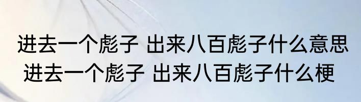 进去一个彪子 出来八百彪子什么意思  进去一个彪子 出来八百彪子什么梗