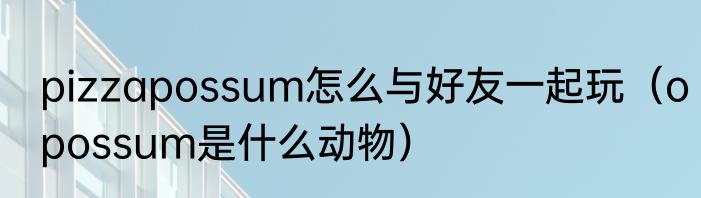 pizzapossum怎么与好友一起玩（opossum是什么动物）