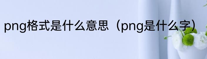 png格式是什么意思（png是什么字）