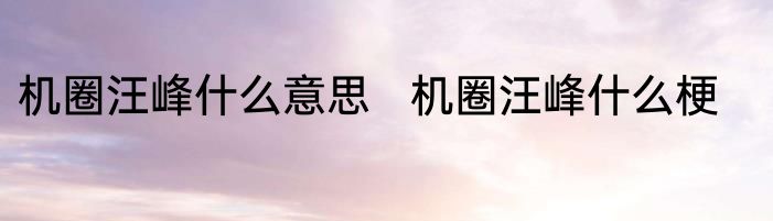 机圈汪峰什么意思   机圈汪峰什么梗