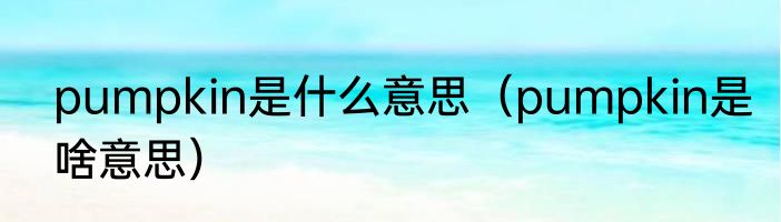 pumpkin是什么意思（pumpkin是啥意思）